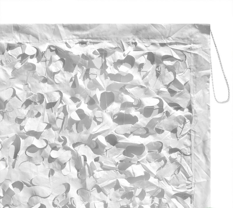 Διχτυ παραλλαγης Λευκό