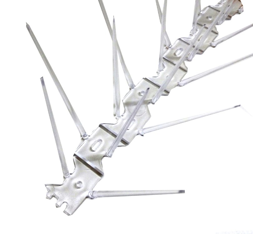 ακιδες περιστεριων, ακιδες πτηνων, ακιδες για περιστερια, ακιδες για πτηνα, ακίδες περιστεριών, ακίδες πτηνών, ακίδες για περιστέρια, ακίδες για πτηνά, akides peristeriwn, akides peristerion, akides ptinwn, akides ptinon, akides gia peristeria, akides gi