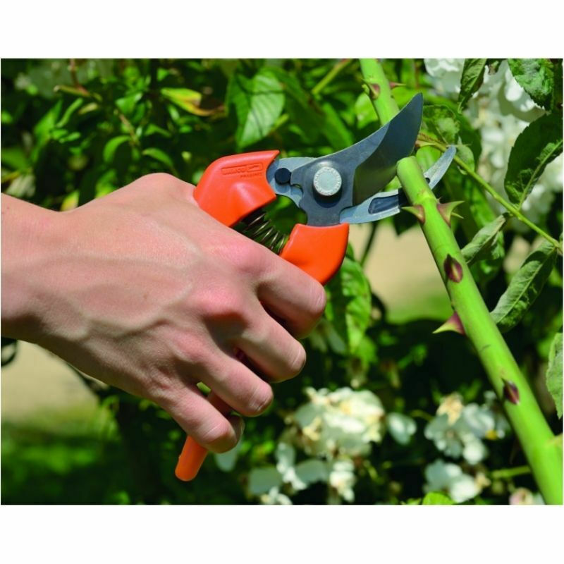 20220104142425 1e1491e0