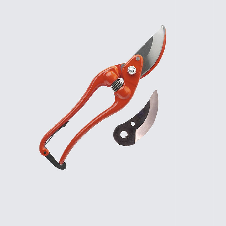 2038a9 87454226dff94600b9dfad1c79a9ebaa mv2