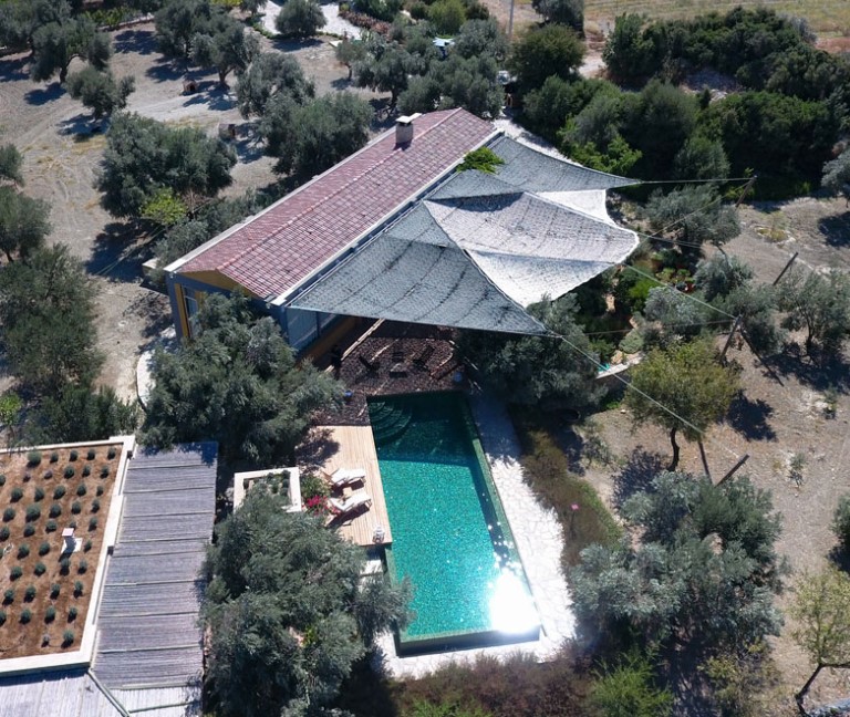 δίχτυ παραλλαγής