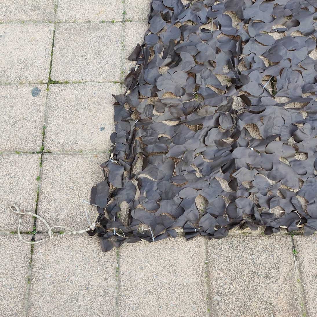 δίχτυ παραλλαγής