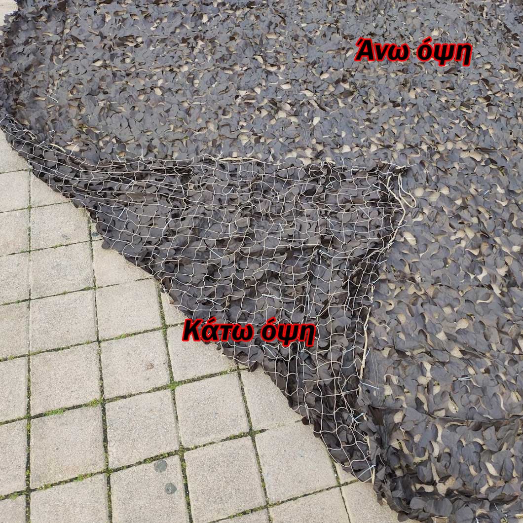 διχτυ παραλλαγής ερήμου