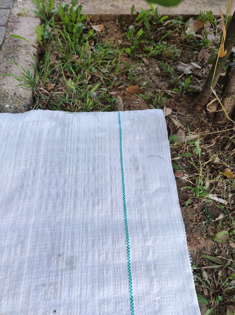 εδαφοκαλυψη λευκη