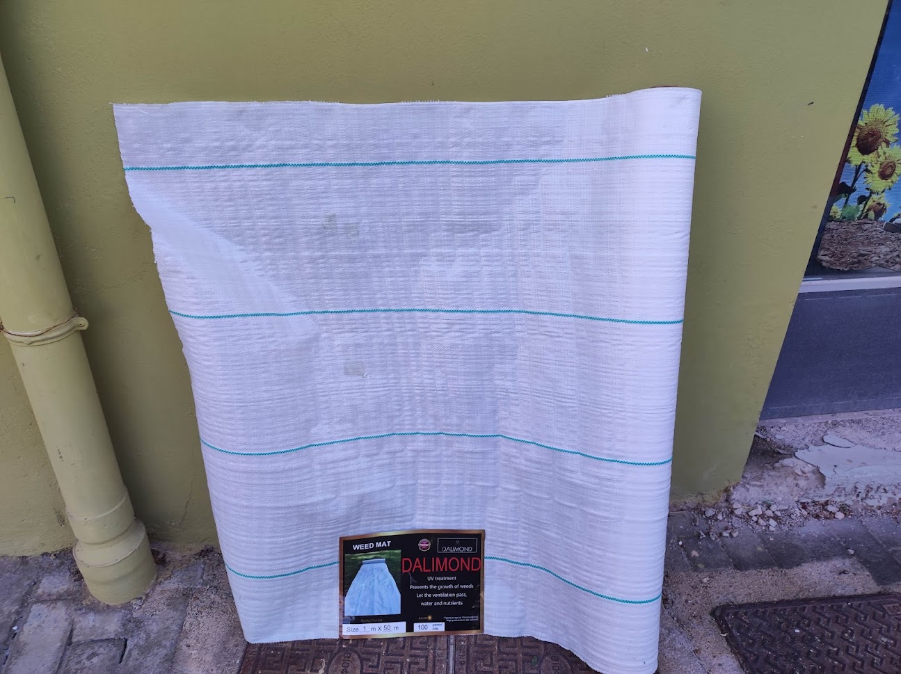 εδαφοκαλυψη λευκη4