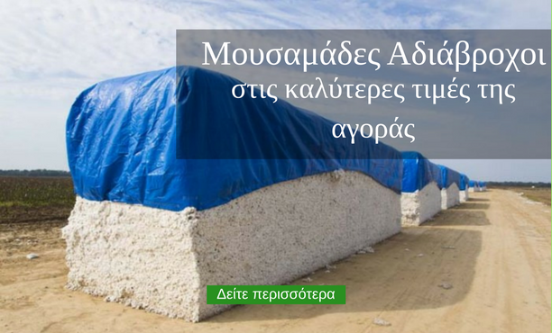 Μουσαμάς: 7 συμβουλές πως να επιλέξεις ορθά